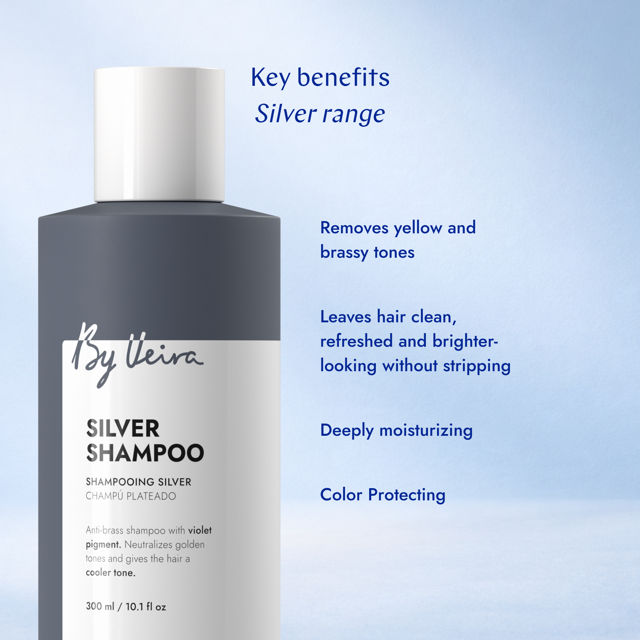 Silver Conditioner
